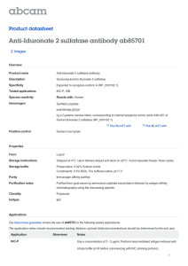 Anti-Iduronate 2 sulfatase antibody ab85701 Product datasheet 2 Images Overview