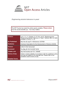 Engineering alcohol tolerance in yeast Please share