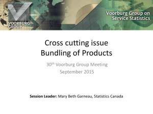 Cross cutting issue Bundling of Products 30 Voorburg Group Meeting