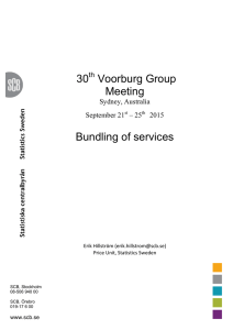 30 Voorburg Group Meeting Bundling of services