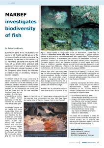 MARBEF investigates biodiversity of fish