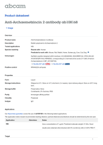 Anti-Archaemetzincin 2 antibody ab108168 Product datasheet 1 Image