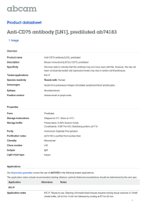 Anti-CD75 antibody [LN1], prediluted ab74183 Product datasheet 1 Image Overview
