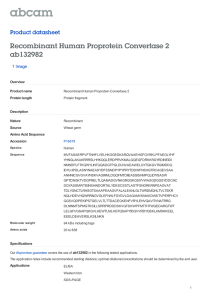 Recombinant Human Proprotein Convertase 2 ab132982 Product datasheet 1 Image