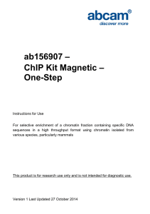 ab156907 – ChIP Kit Magnetic – One-Step