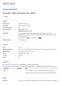 Anti-HLA DM antibody ab113870 Product datasheet 1 Image