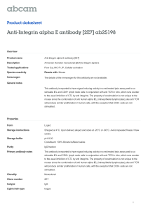 Anti-Integrin alpha E antibody [2E7] ab25198 Product datasheet Overview Product name