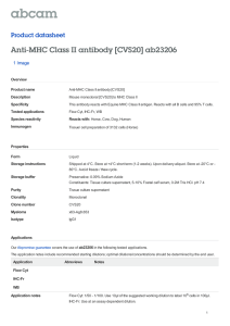 Anti-MHC Class II antibody [CVS20] ab23206 Product datasheet 1 Image Overview