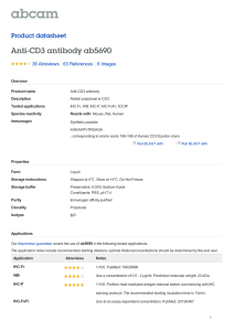 Anti-CD3 antibody ab5690 Product datasheet 36 Abreviews 6 Images