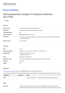 Anti-Lymphocyte Antigen 6 Complex antibody ab117536 Product datasheet 1 Image