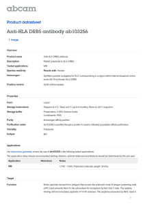 Anti-HLA DRB5 antibody ab103256 Product datasheet 1 Image Overview