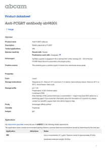 Anti-FCGRT antibody ab98201 Product datasheet 1 Image