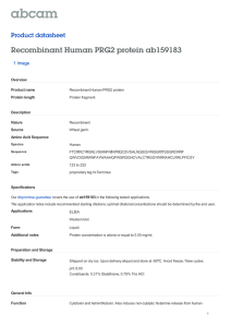 Recombinant Human PRG2 protein ab159183 Product datasheet 1 Image Overview