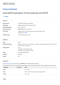 Anti-ZAP70 (phospho Y318) antibody ab194792 Product datasheet 2 Images Overview