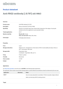 Anti-PRG2 antibody [1.B.787] ab14463 Product datasheet Overview Product name