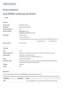 Anti-HSH2D antibody ab101039 Product datasheet 1 Image