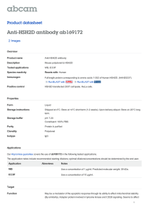 Anti-HSH2D antibody ab169172 Product datasheet 2 Images Overview