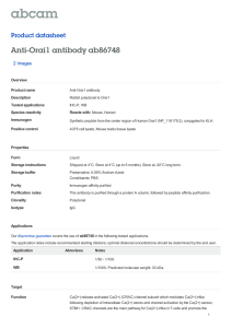 Anti-Orai1 antibody ab86748 Product datasheet 2 Images Overview