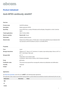 Anti-RFX5 antibody ab6557 Product datasheet Overview Product name