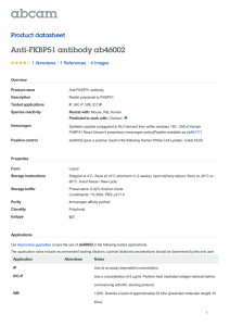 Anti-FKBP51 antibody ab46002 Product datasheet 1 Abreviews 4 Images