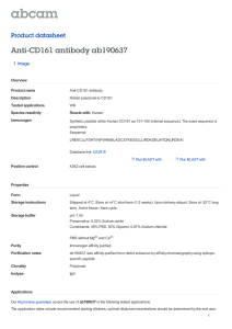 Anti-CD161 antibody ab190637 Product datasheet 1 Image Overview