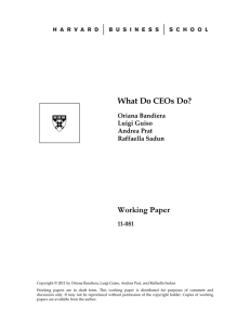 What Do CEOs Do? Working Paper  11-081