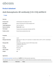 Anti-Semaphorin 4D antibody [133-1C6] ab95612 Product datasheet 1 Image Overview
