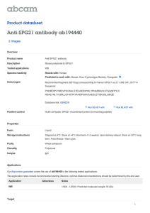 Anti-SPG21 antibody ab194440 Product datasheet 2 Images