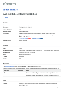 Anti-KIR2DL1 antibody ab123107 Product datasheet 1 Image Overview