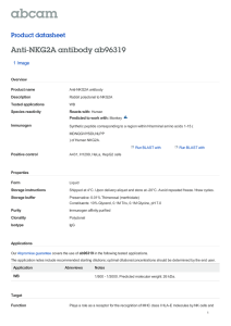Anti-NKG2A antibody ab96319 Product datasheet 1 Image