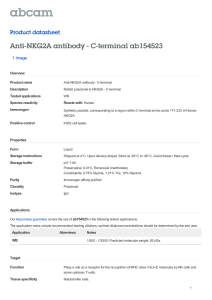 Anti-NKG2A antibody - C-terminal ab154523 Product datasheet 1 Image Overview
