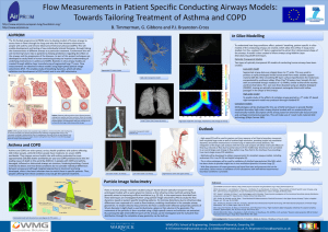 Flow Measurements in Patient Specific Conducting Airways Models: