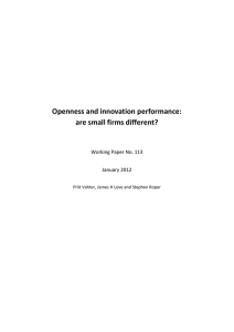 Openness and innovation performance: are small firms different?  Working Paper No. 113