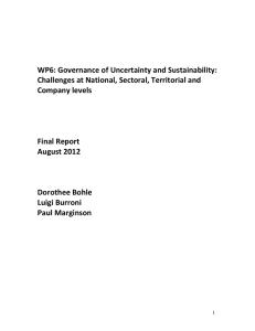 WP6: Governance of Uncertainty and Sustainability: Company levels