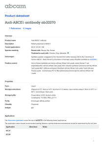 Anti-ABCE1 antibody ab32270 Product datasheet 1 References 4 Images
