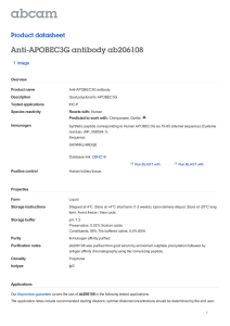 Anti-APOBEC3G antibody ab206108 Product datasheet 1 Image