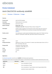 Anti-CALCOCO2 antibody ab68588 Product datasheet 1 Abreviews 3 Images