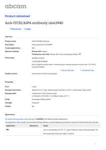 Anti-ITCH/AIP4 antibody ab63940 Product datasheet 1 References 1 Image