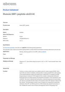 Human SRP1 peptide ab23141 Product datasheet Overview Product name