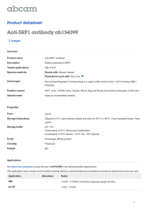Anti-SRP1 antibody ab154399 Product datasheet 3 Images