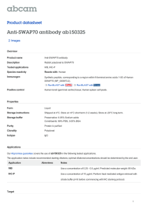 Anti-SWAP70 antibody ab150325 Product datasheet 2 Images Overview