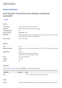 Anti-Soluble Liver/Pancreas Antigen antibody ab154287