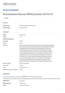 Recombinant Human KPNA2 protein ab172174 Product datasheet 1 Image Overview