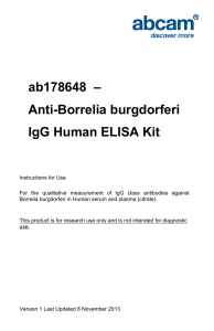 ab178648  – Anti-Borrelia burgdorferi IgG Human ELISA Kit