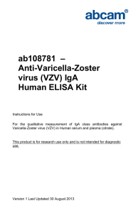 ab108781  – Anti-Varicella-Zoster virus (VZV) IgA Human ELISA Kit