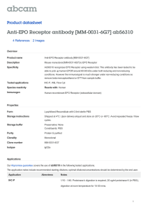 Anti-EPO Receptor antibody [MM-0031-6G7] ab56310 Product datasheet 4 References 2 Images