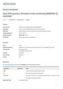 Anti-IFN gamma Receptor beta antibody [MMHGR-2] ab25448