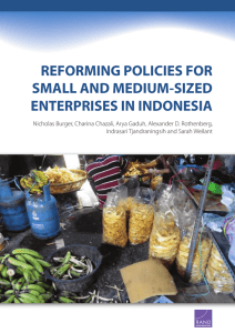 REFORMING POLICIES FOR SMALL AND MEDIUM-SIZED ENTERPRISES IN INDONESIA