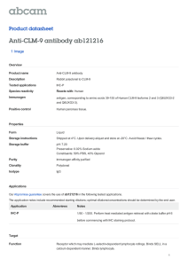 Anti-CLM-9 antibody ab121216 Product datasheet 1 Image Overview