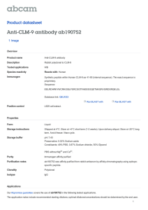 Anti-CLM-9 antibody ab190752 Product datasheet 1 Image Overview